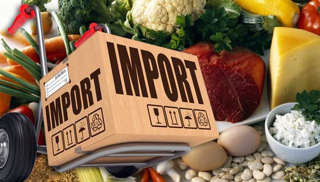 food import services 1572413495 5133494
