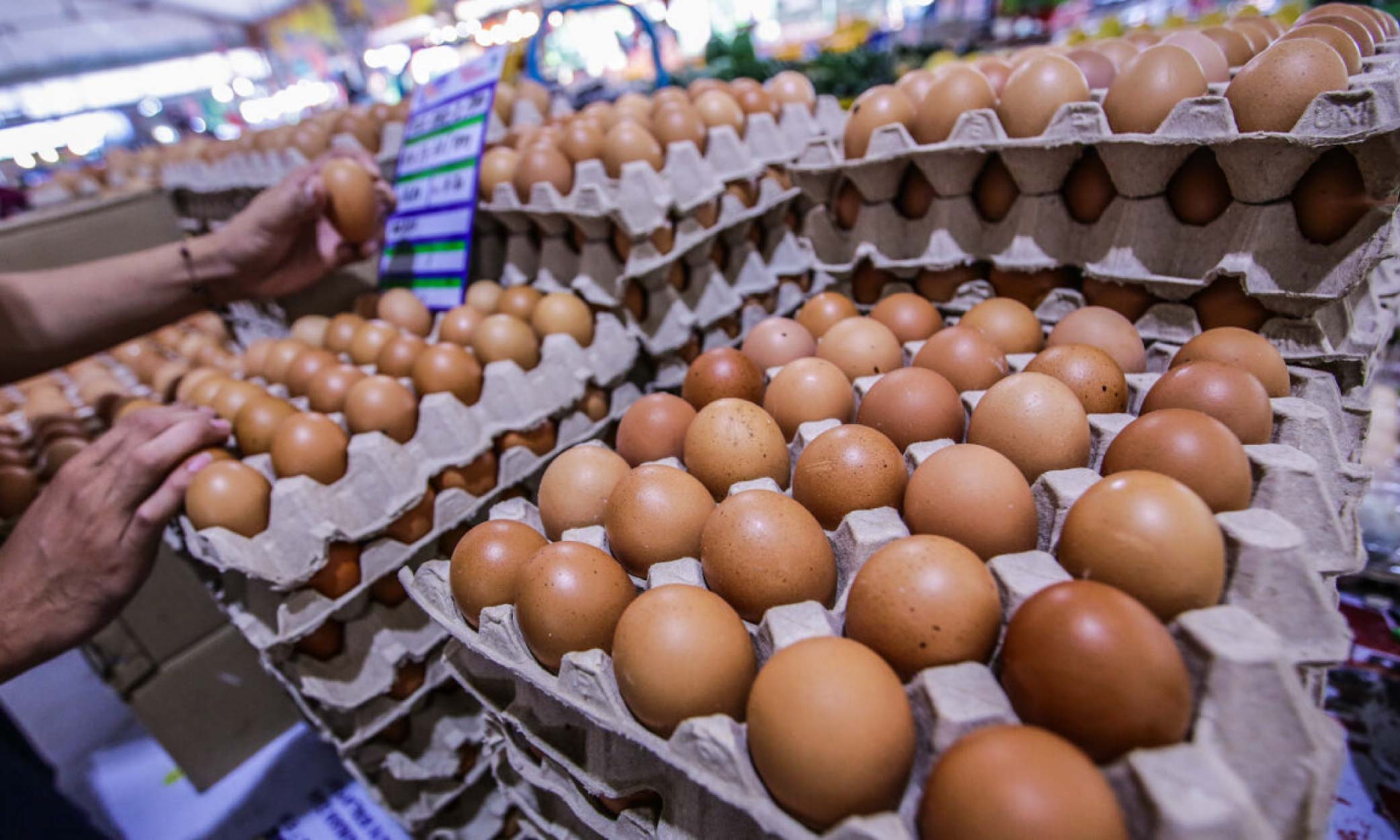 bekalan telur ayam di kelantan belum stabil sukar diperoleh di pasaran